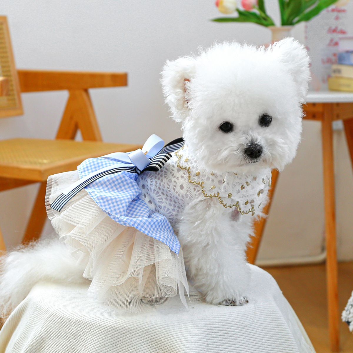 Dreamy Blue-White Lace Pet Tutu Dress