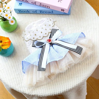 Dreamy Blue-White Lace Pet Tutu Dress 01