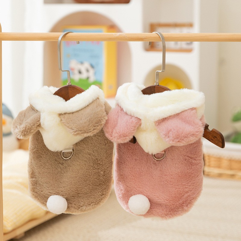 Cute Teddy Bear Themed Pet Coat
