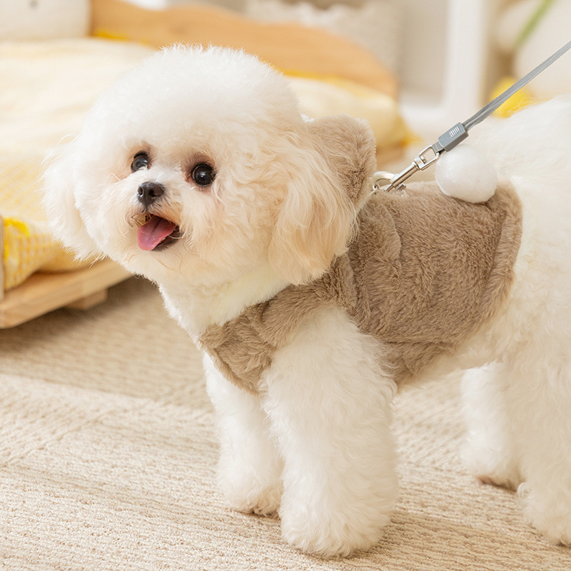 Cute Teddy Bear Themed Pet Coat