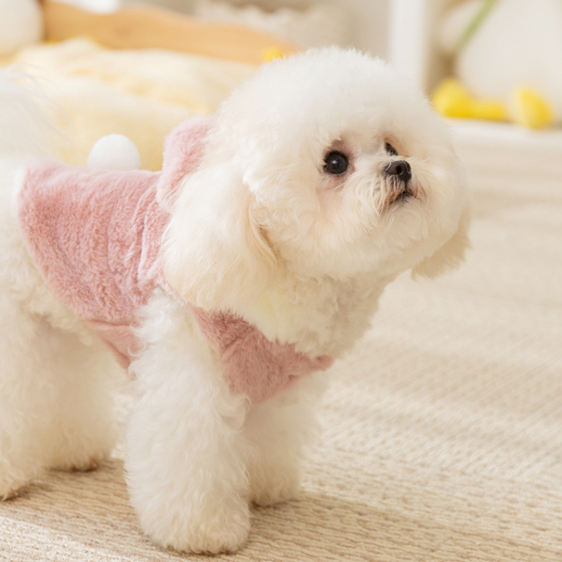 Cute Teddy Bear Themed Pet Coat