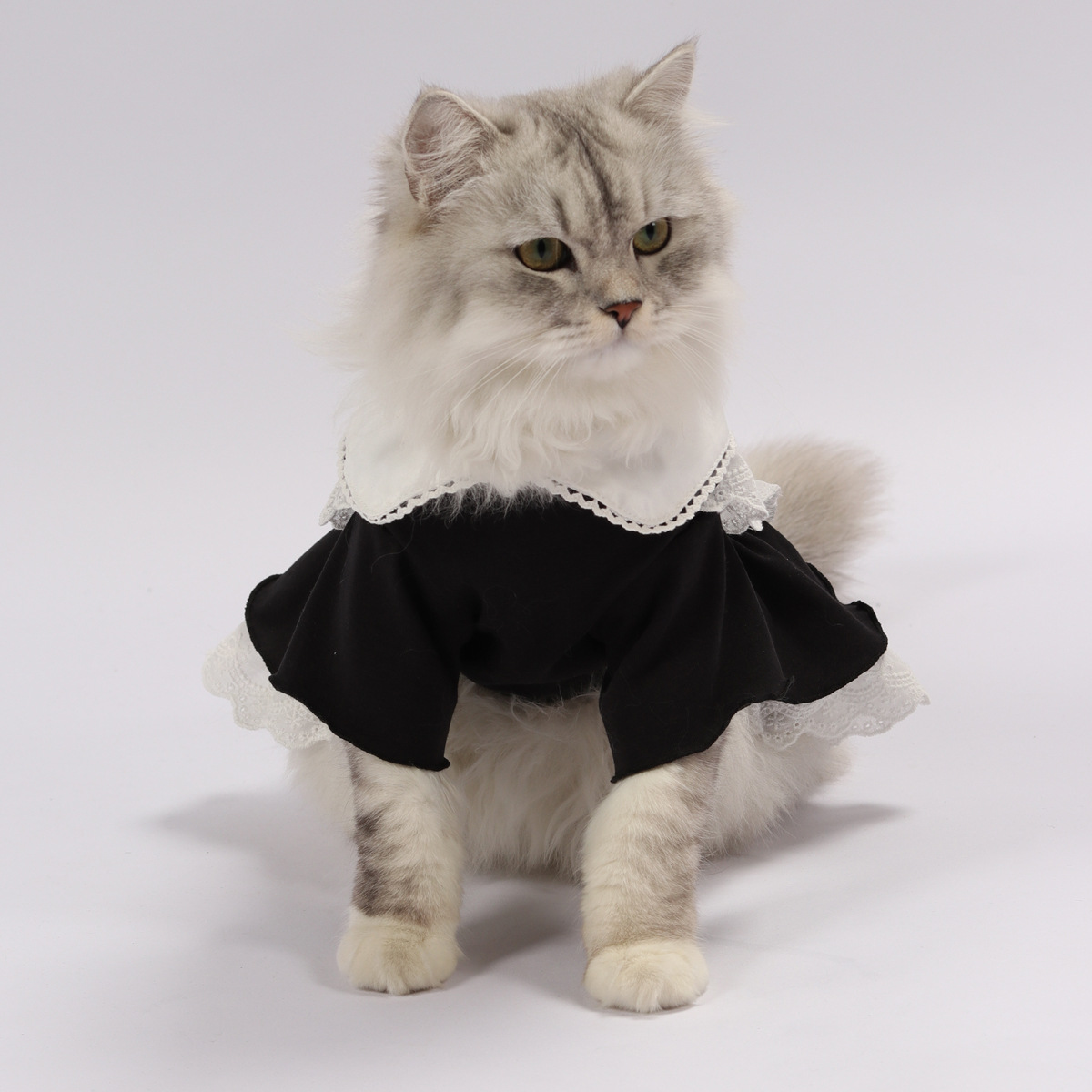 Cute Cat Maid Costume for Summer