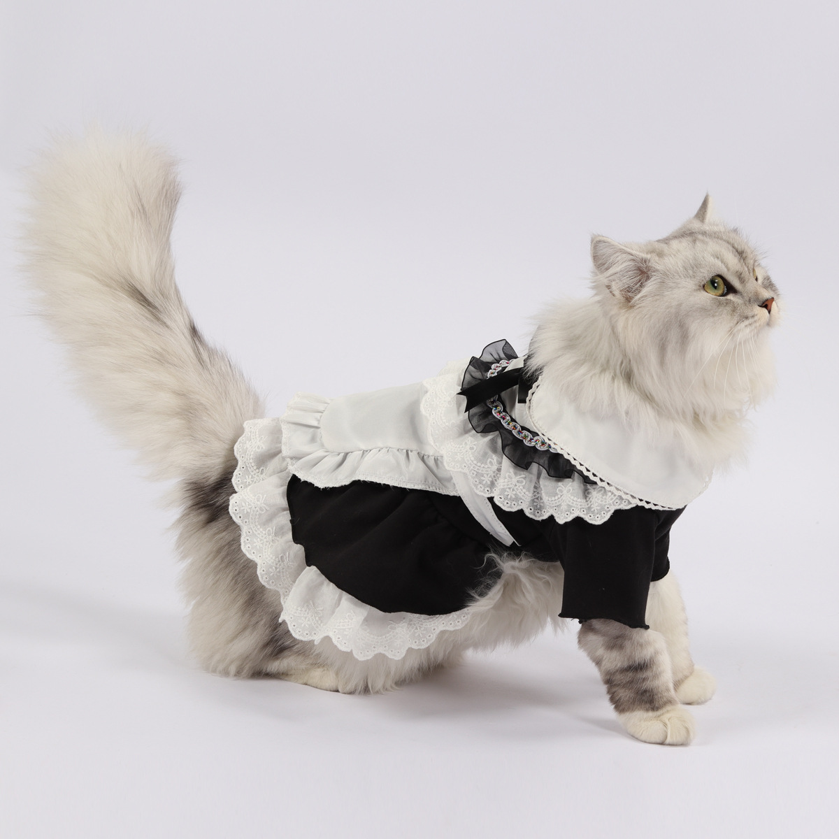Cute Cat Maid Costume for Summer