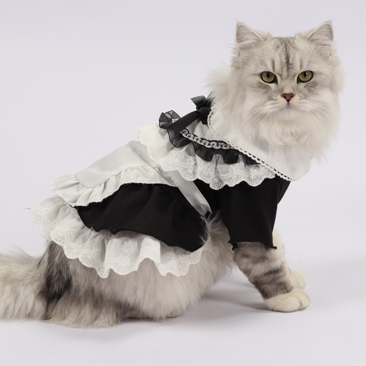 Cute Cat Maid Costume for Summer