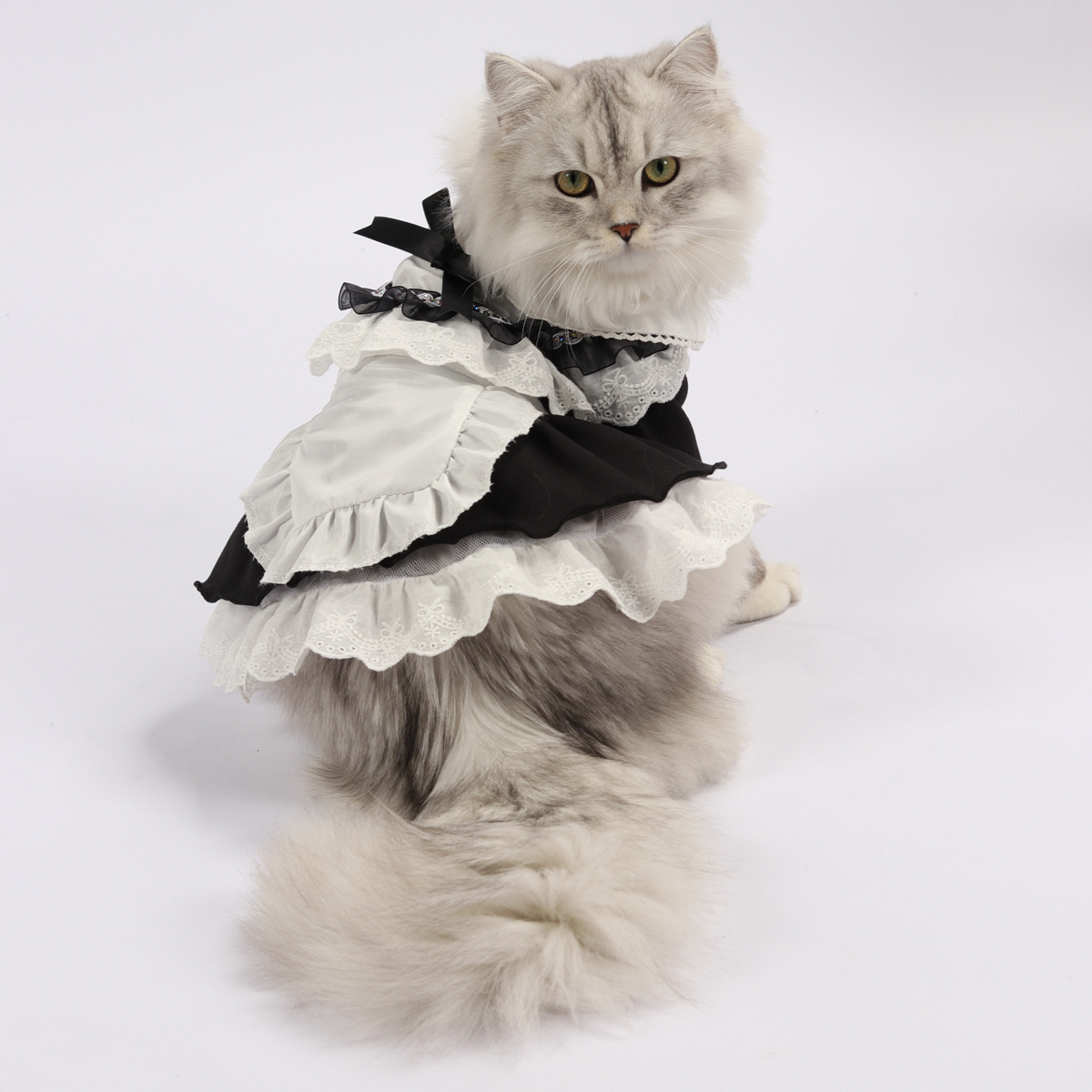 Cute Cat Maid Costume for Summer