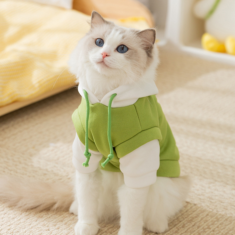 Cute Puppy themed Fall Pet Hoodie
