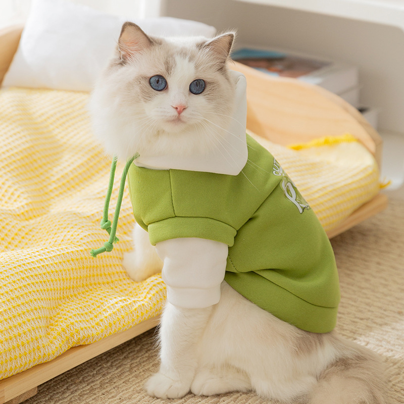 Cute Puppy themed Fall Pet Hoodie