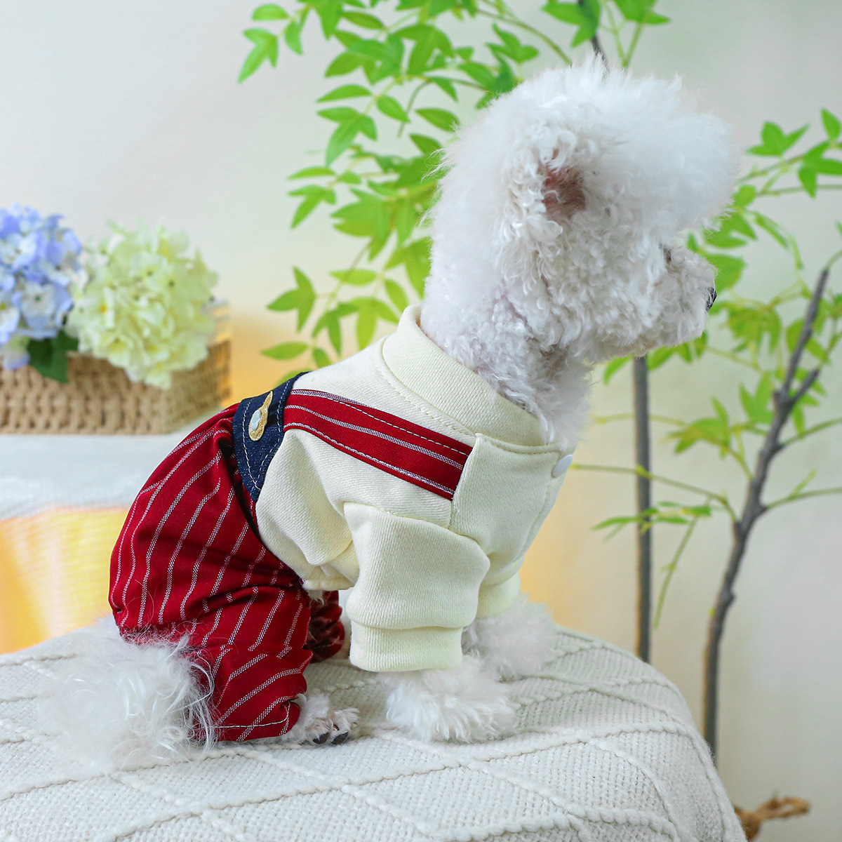 Cute Pet Striped Overalls