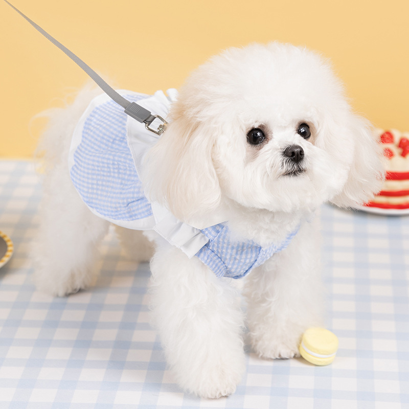 Pet Blue Chiffon Maid Dress with Embroidery