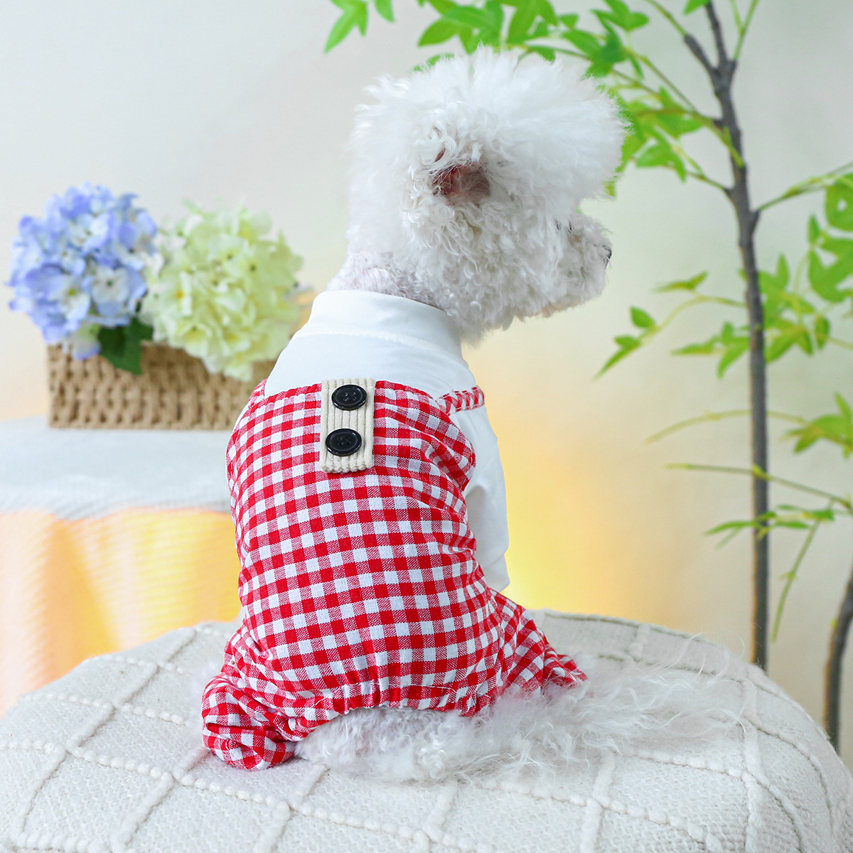 Pet Summer Sun Checkered Suspenders Outfit