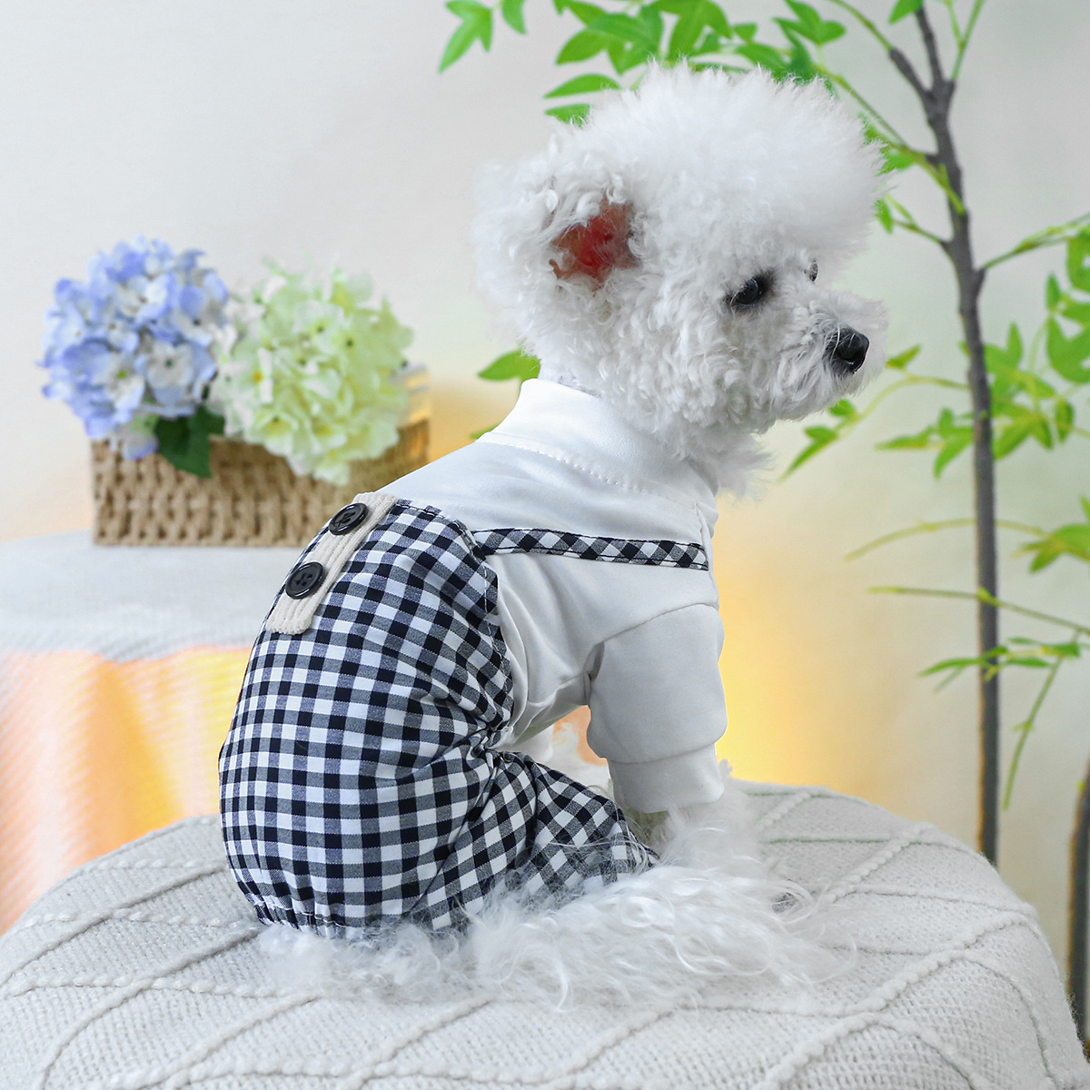 Pet Summer Sun Checkered Suspenders Outfit