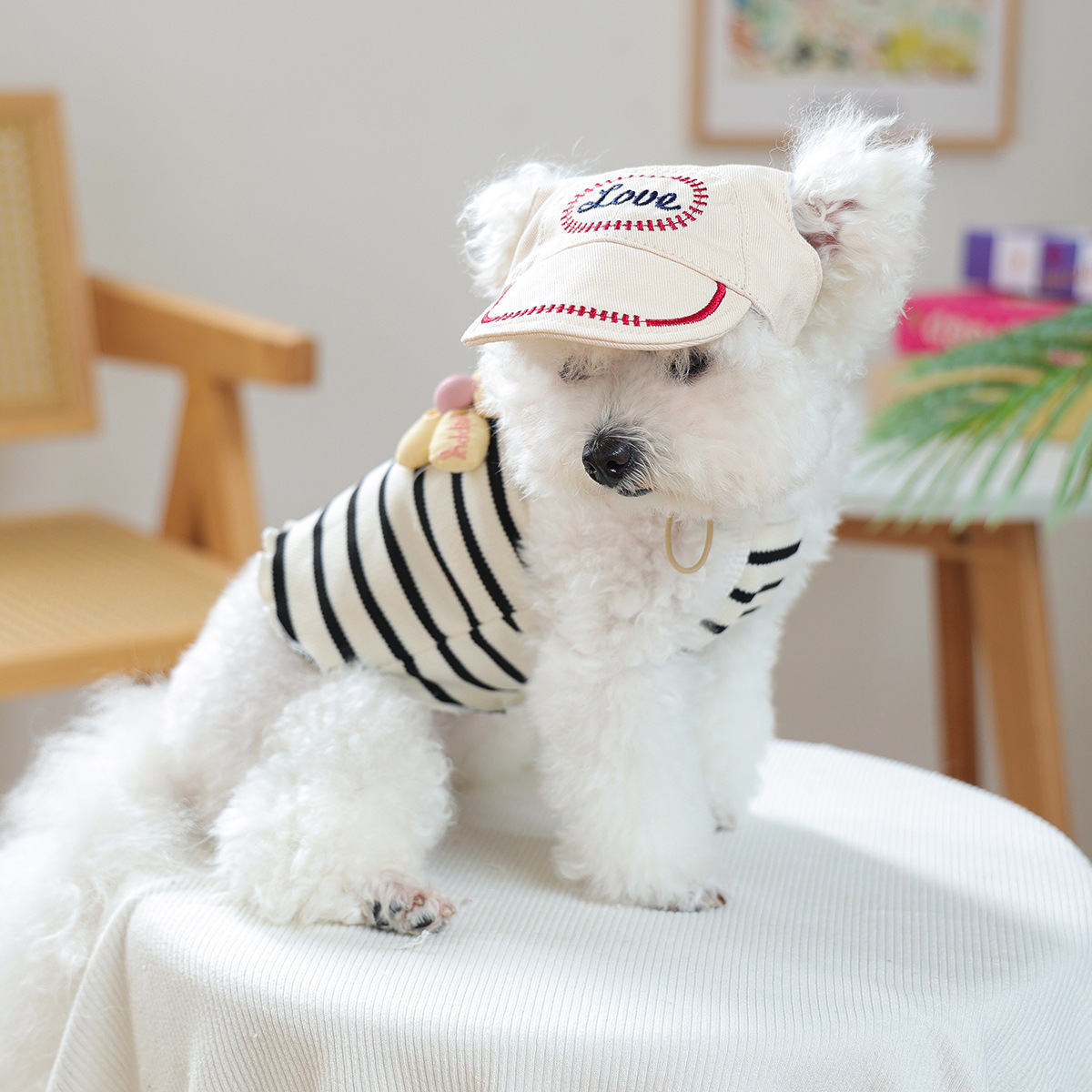 Pet Baseball Cap Stylish Love themed Style