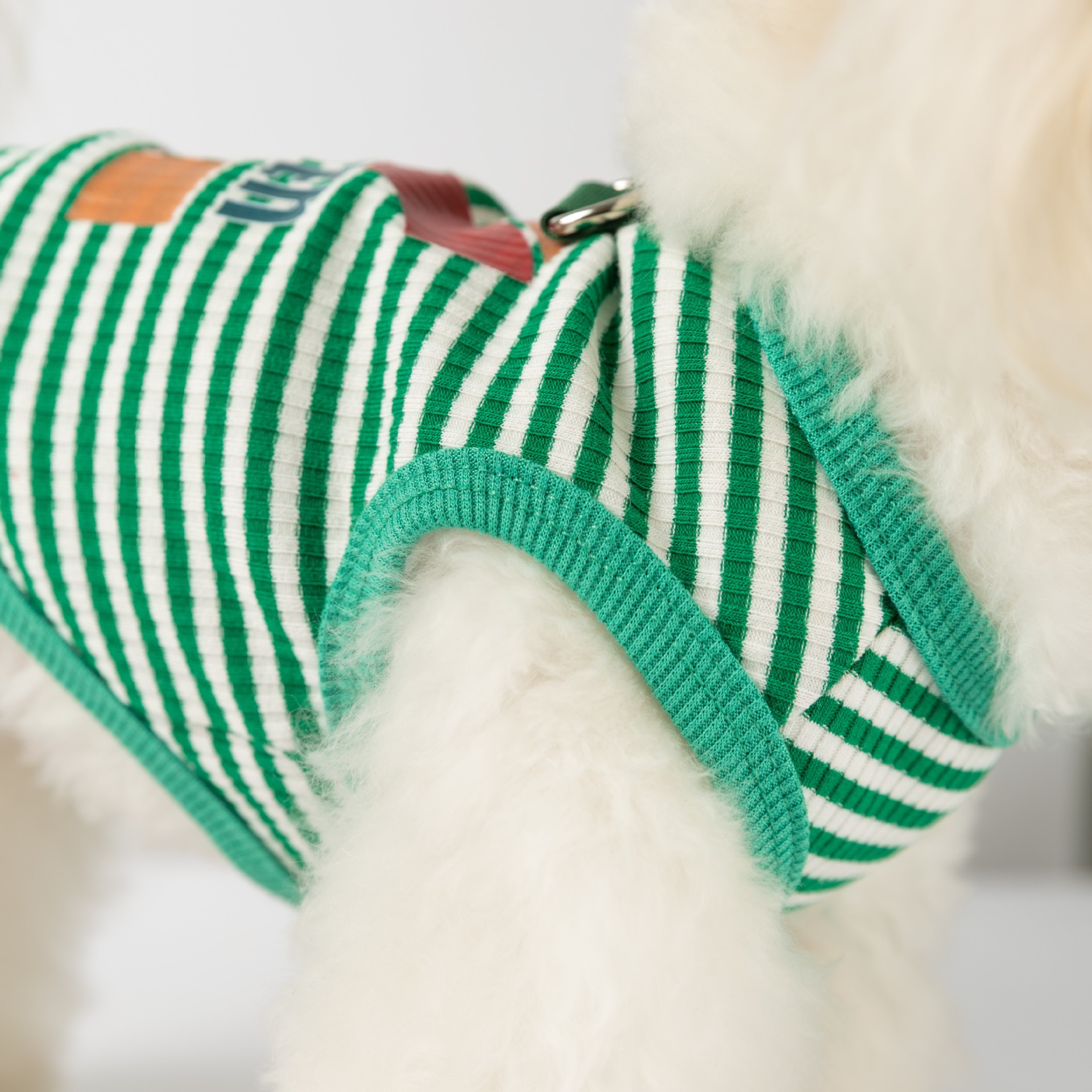 Pet Striped Vest with Cap and Leash