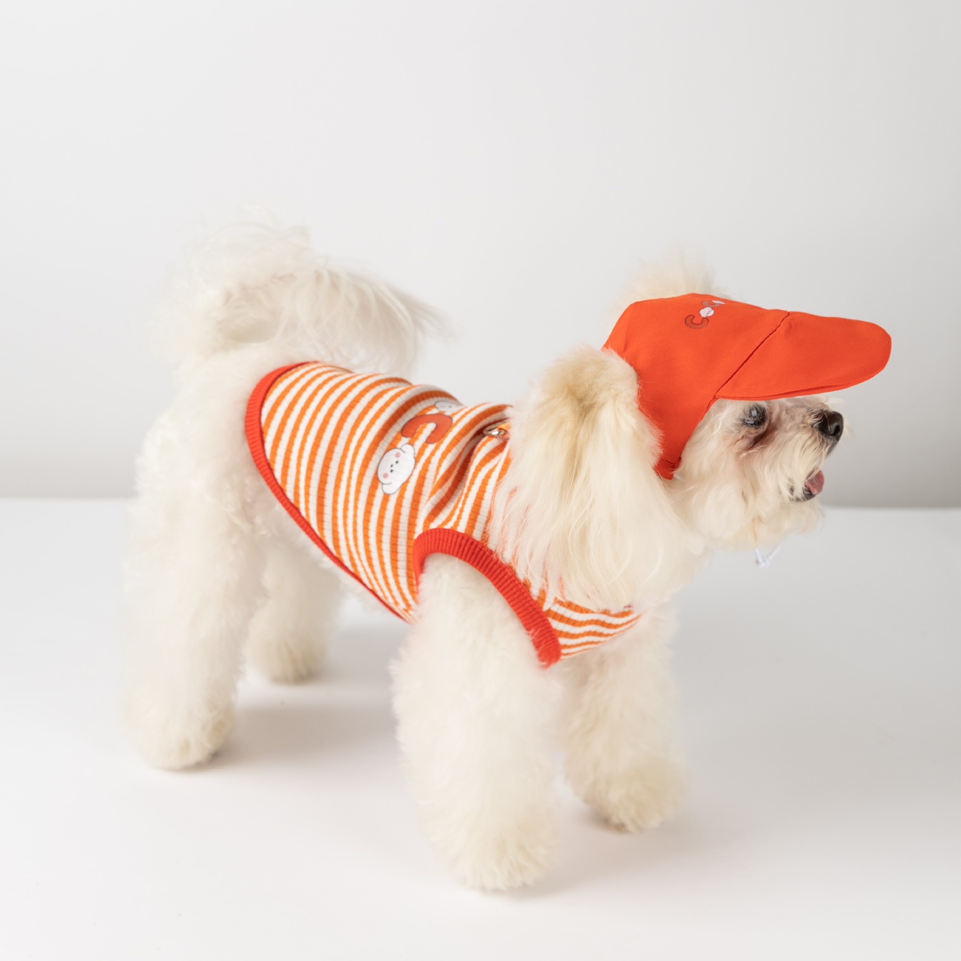 Pet Striped Vest with Cap and Leash