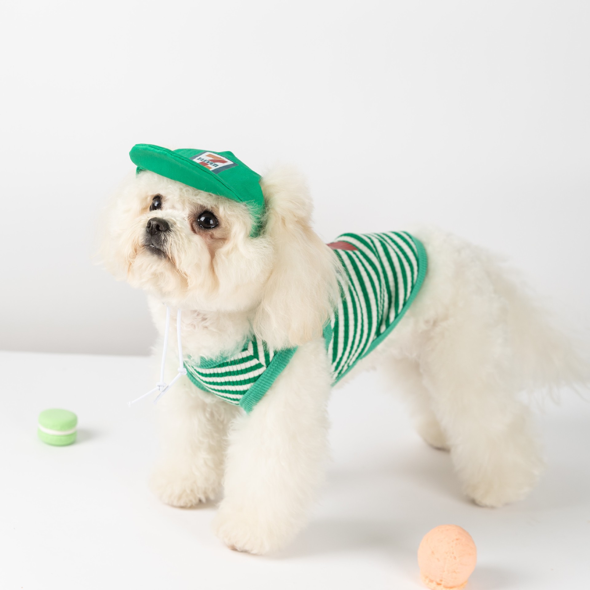 Pet Striped Vest with Cap and Leash