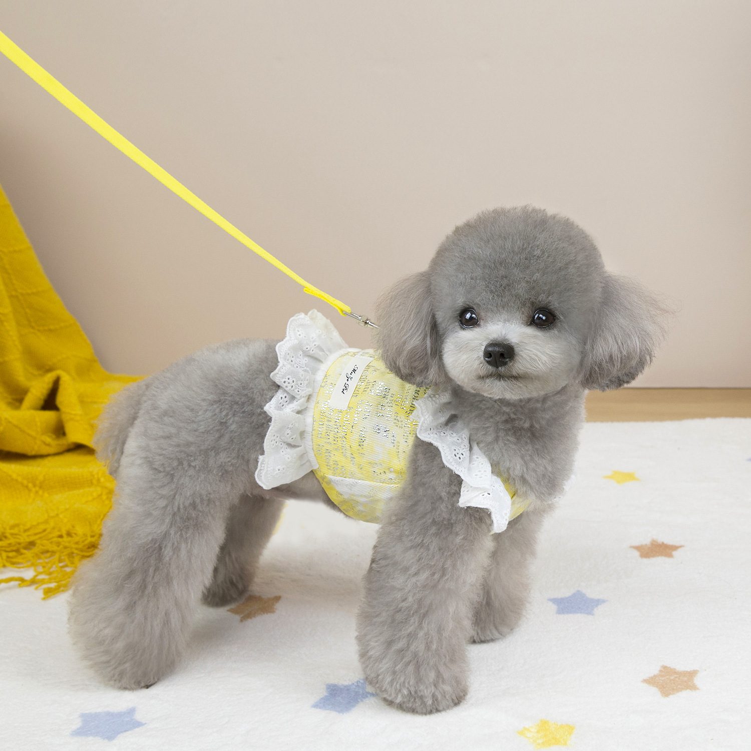 Pet Summer Thin Denim Leash Dress