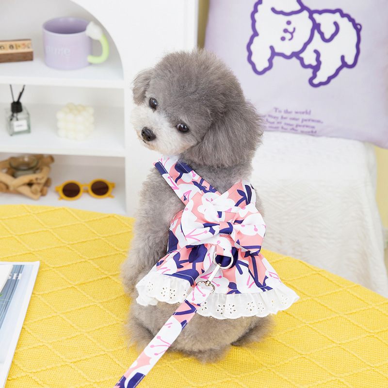 Princess style Pet Harness Dress with Leash