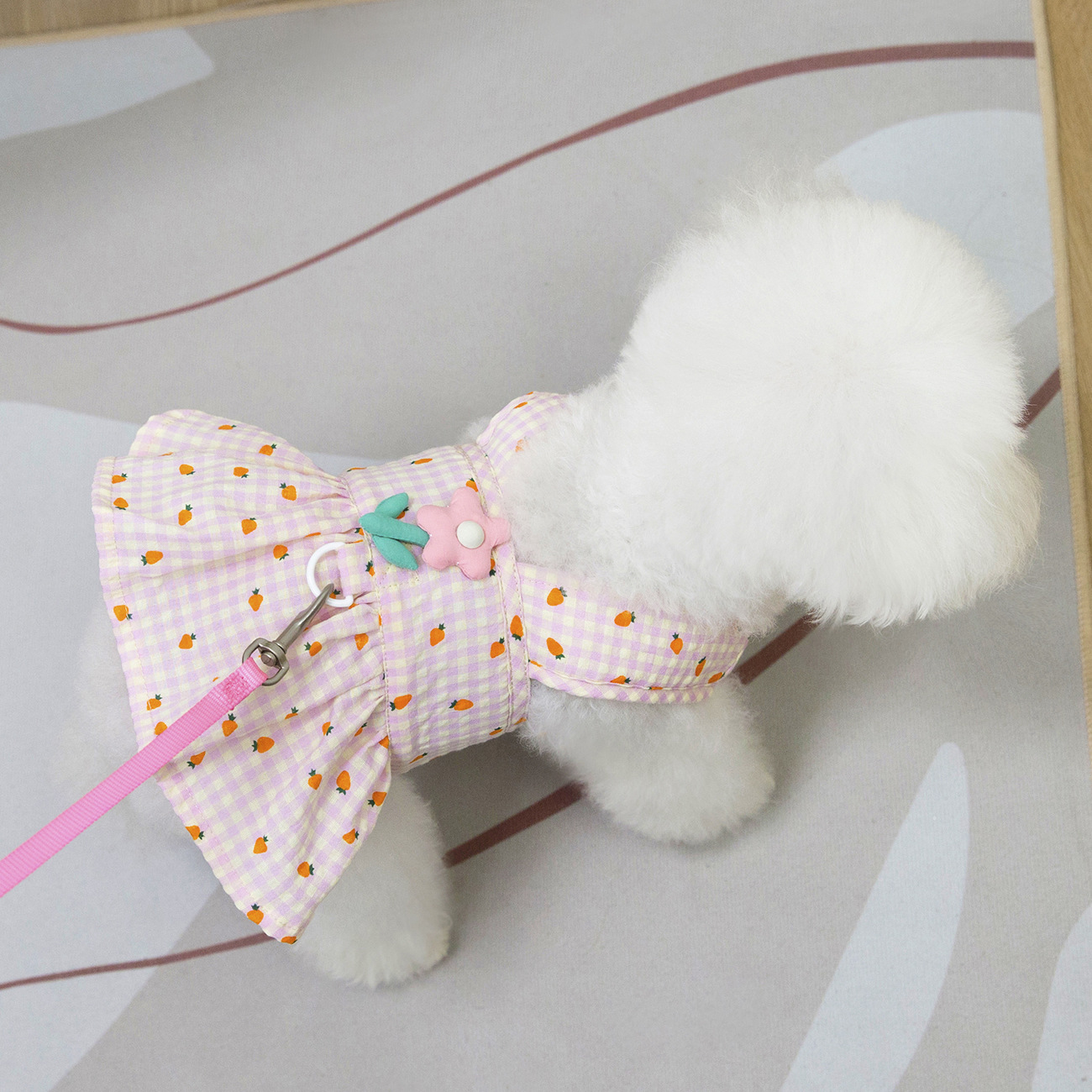 Pet Summer Princess Dress with Flower Leash