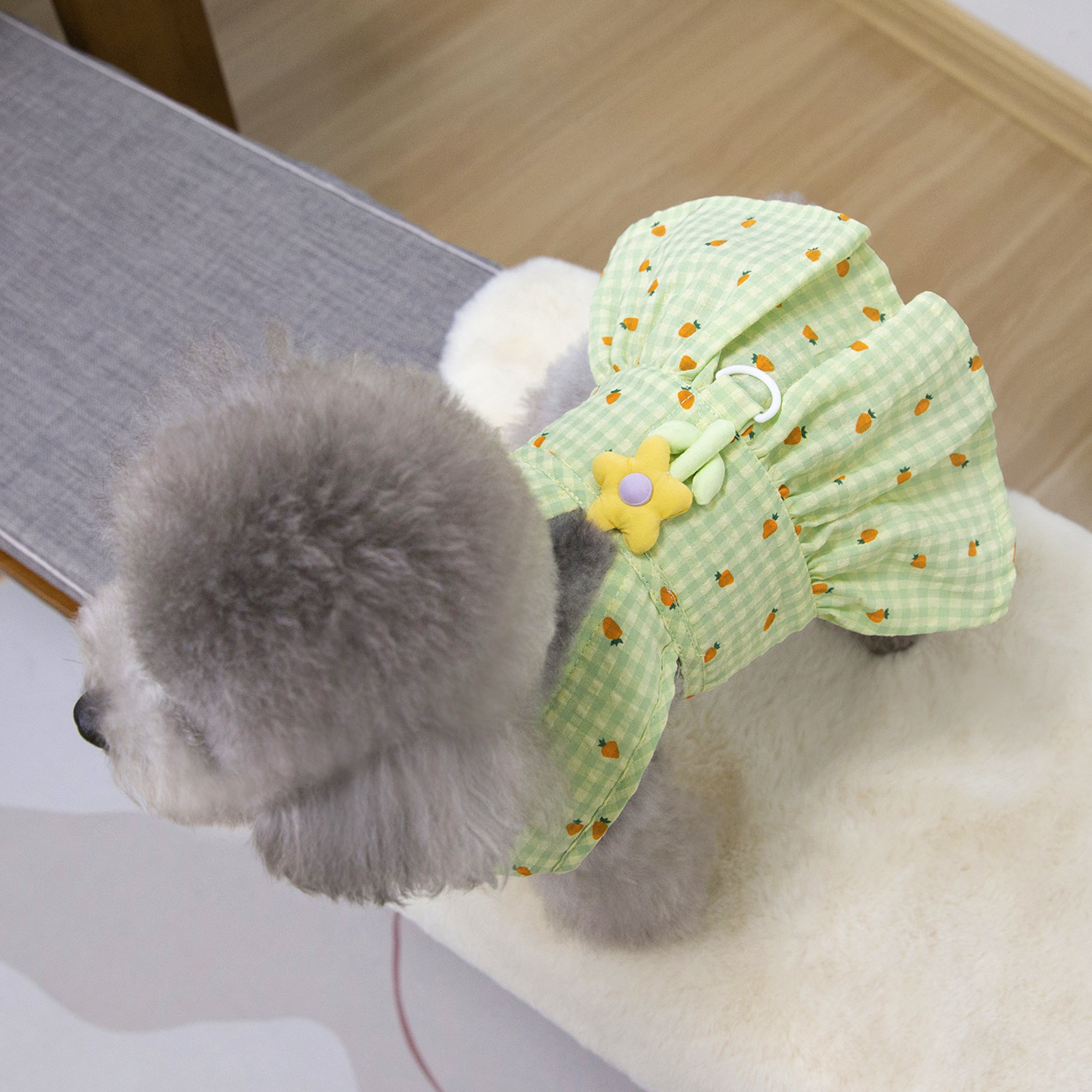 Pet Summer Princess Dress with Flower Leash