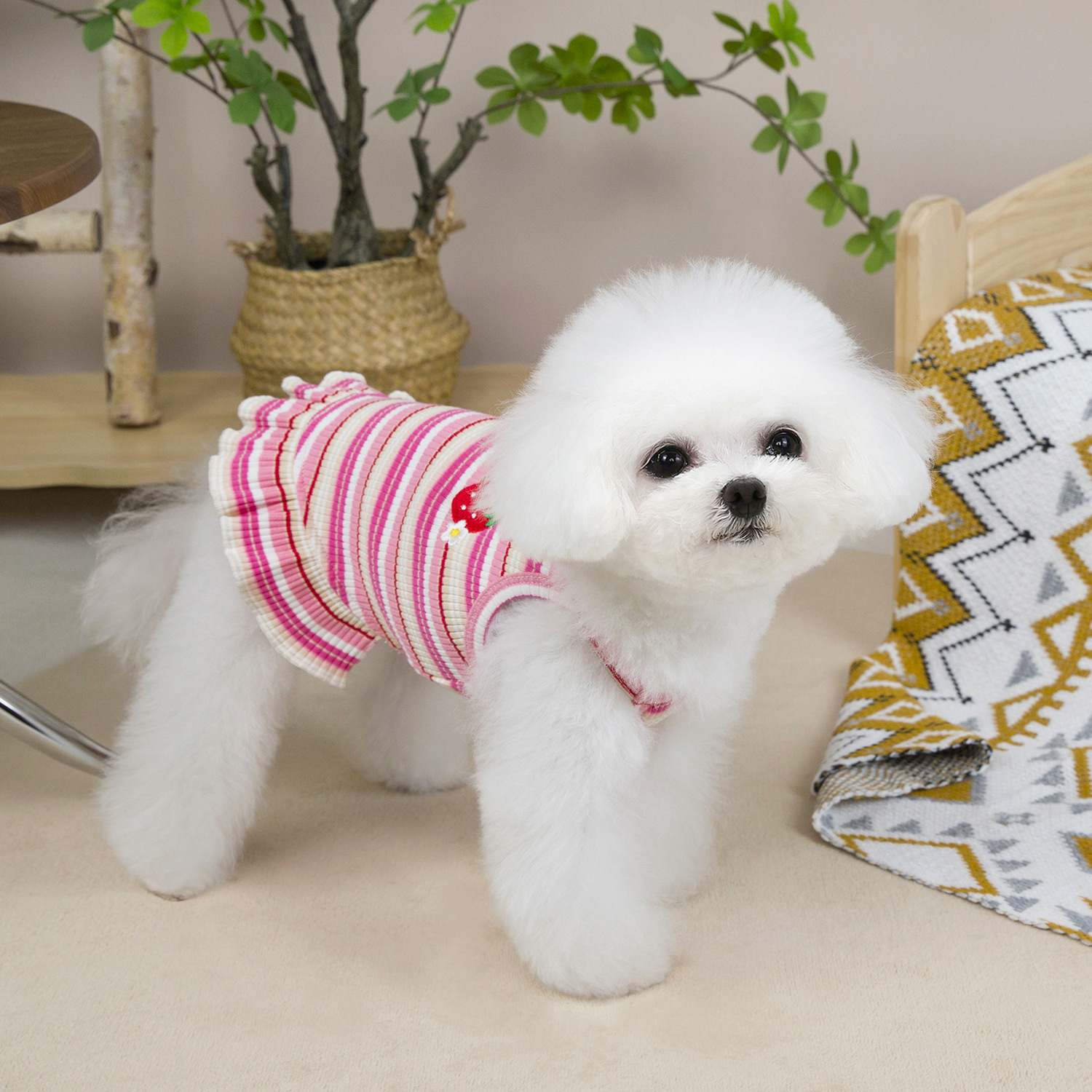 Strawberry Stripe Princess Dress for Pets