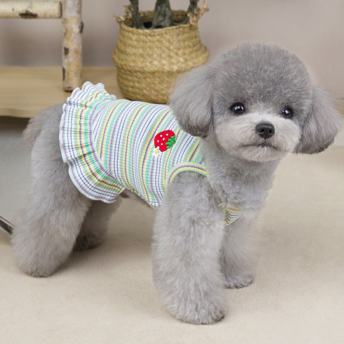 Strawberry Stripe Princess Dress for Pets
