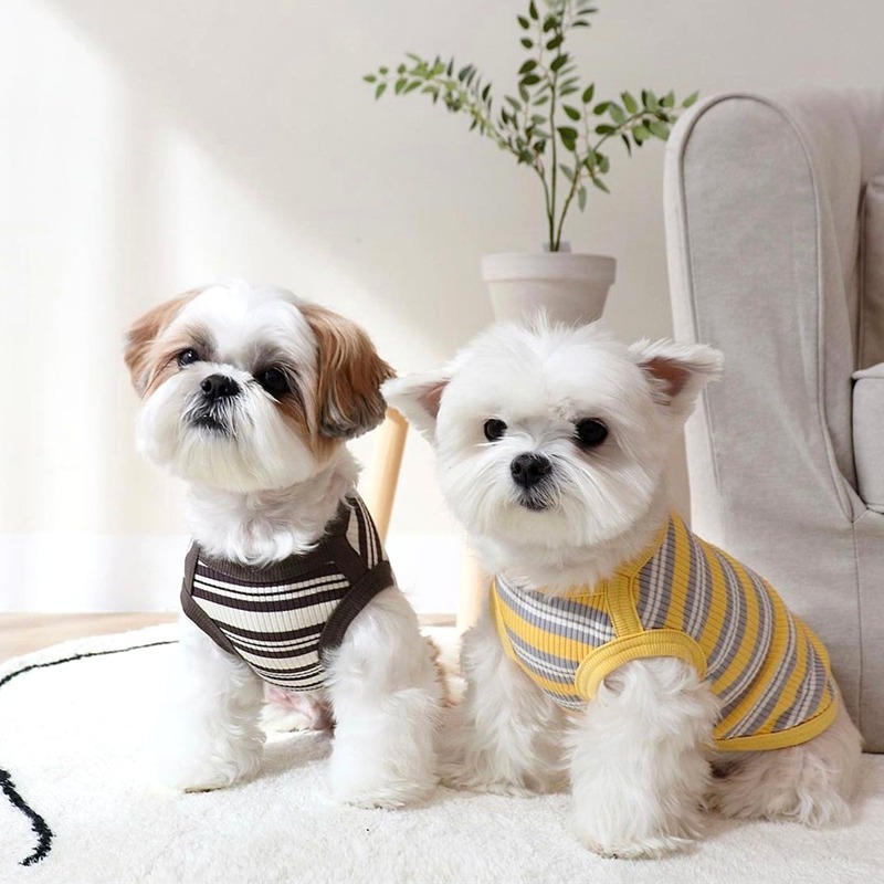 Summer Pet Striped Bear Vest