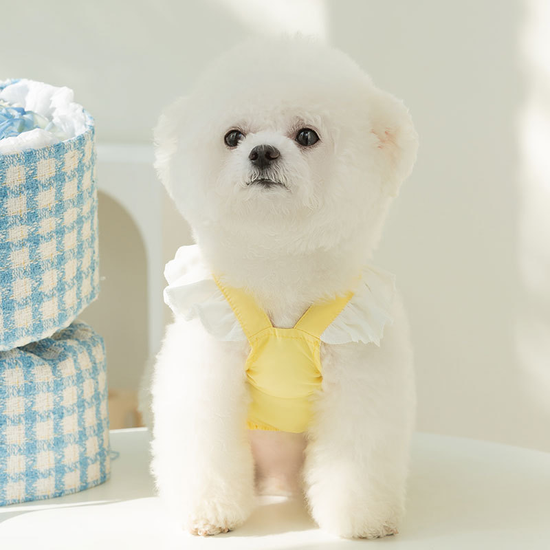 Pet Summer Princess Cake Dress