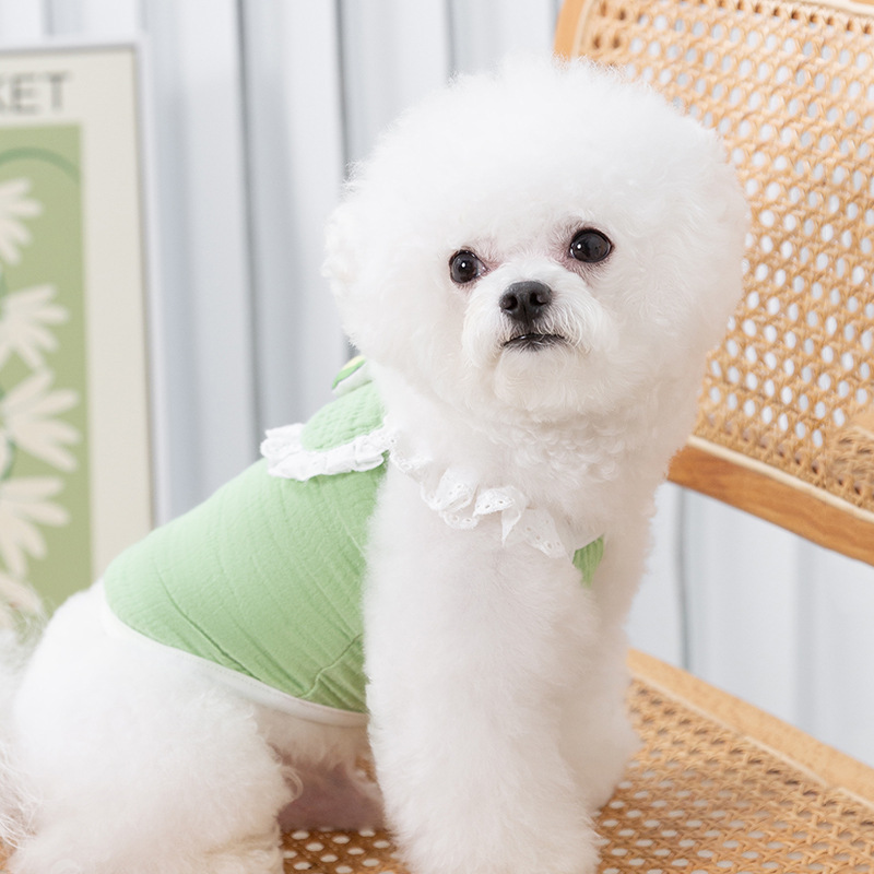 Pet Summer 3D Avocado Lace Harness