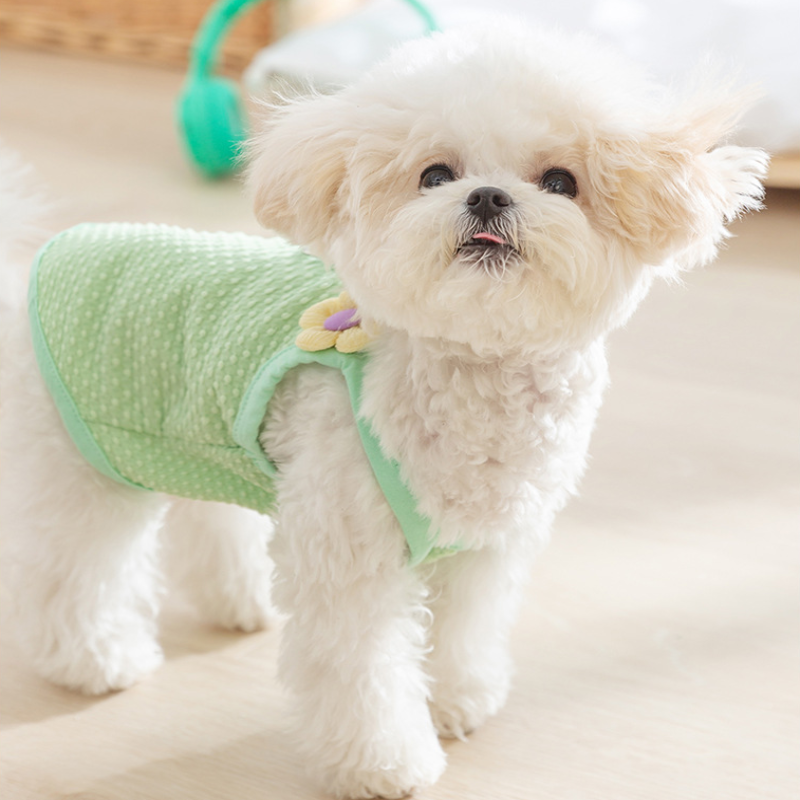 Pet Summer Floral Embellished Harness