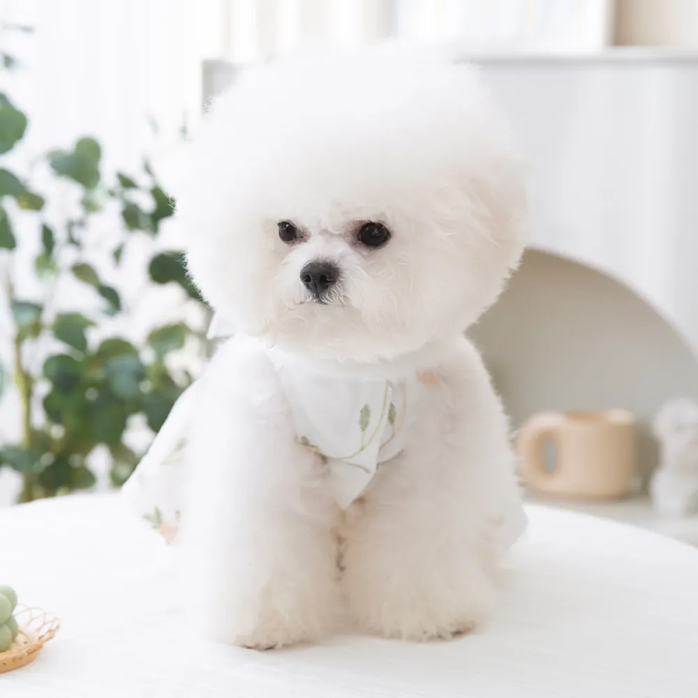 Pet Floral Princess Dress with Bow Summer Thin
