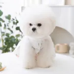 Pet Floral Princess Dress with Bow Summer Thin