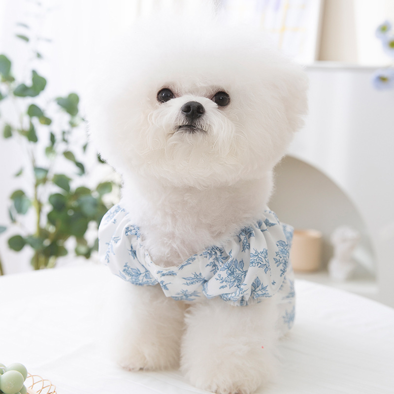  Summer Pet Camellia Print Backless Dress
