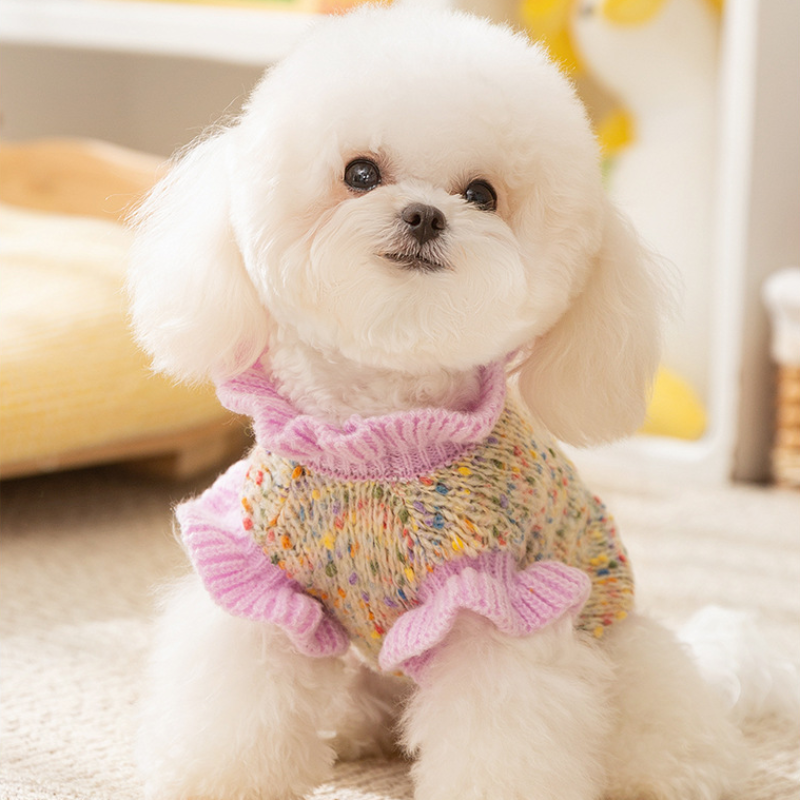 Cozy Pet Winter Knit Sweater with Floral Accents