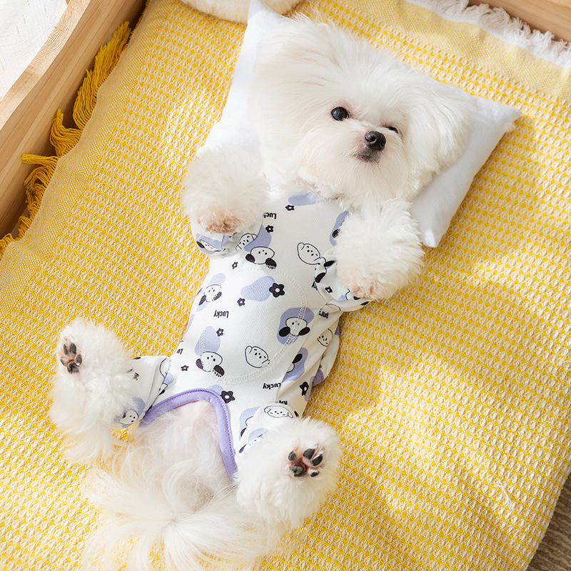 Cozy Cartoon Bear Winter Pet Belly Warmer