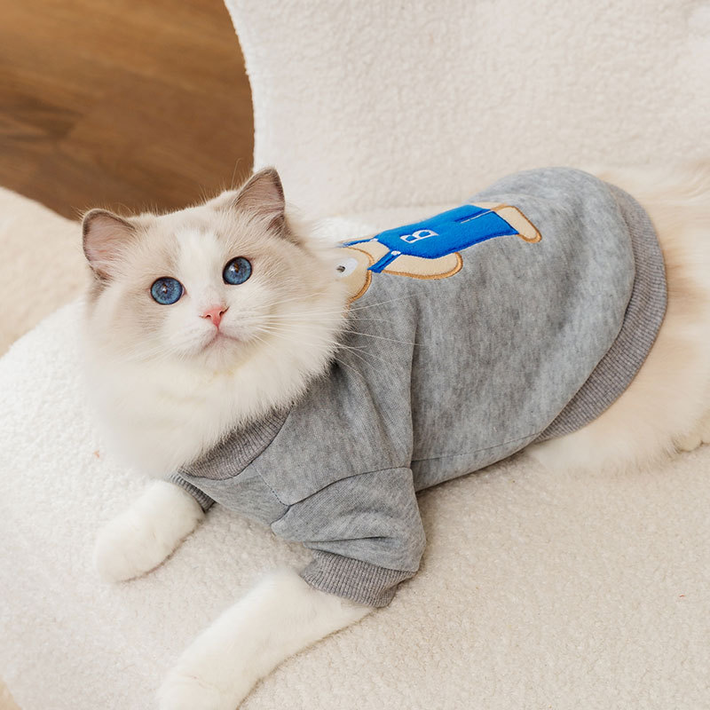 Adorable Teddy Bear Round Neck Pet Sweater