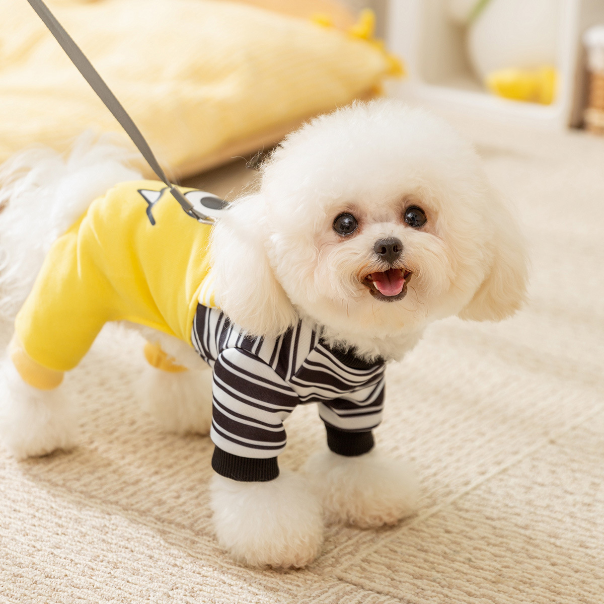 Pet Winter Big Eye Monster Four Legged Clothes