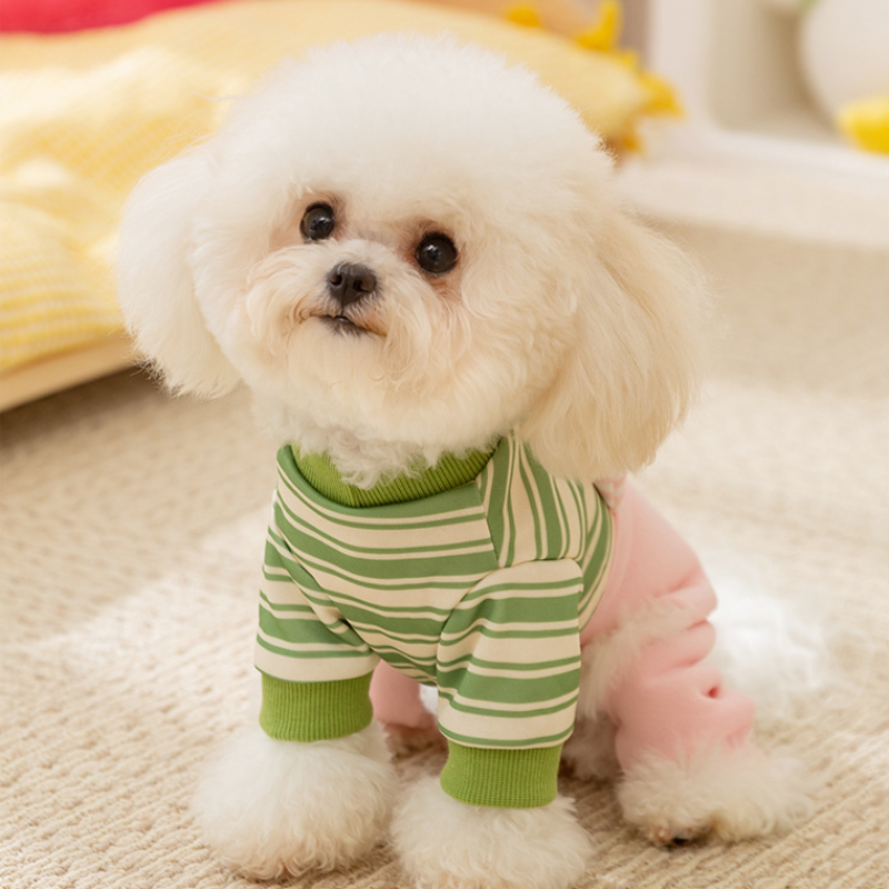 Pet Winter Big Eye Monster Four Legged Clothes