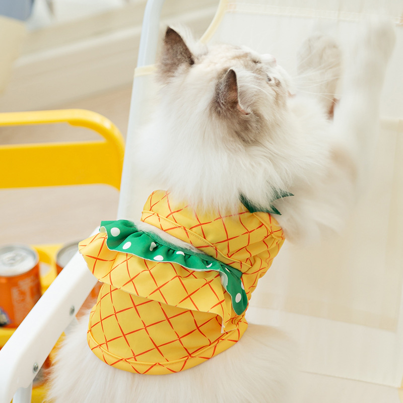 Pineapple kitty swimsuit summer cat beach wear