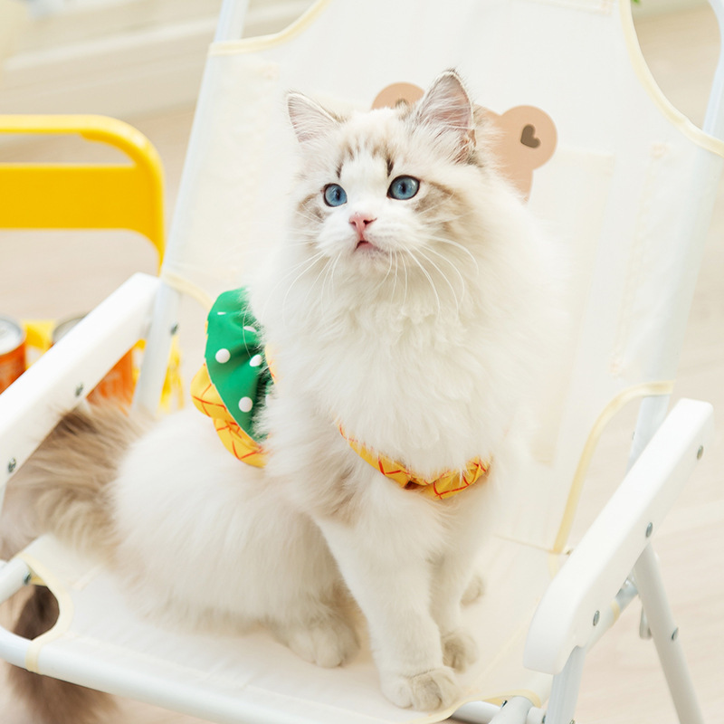 Pineapple kitty swimsuit summer cat beach wear