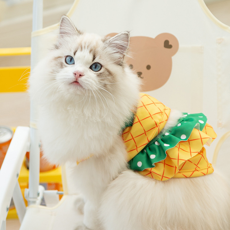 Pineapple kitty swimsuit summer cat beach wear