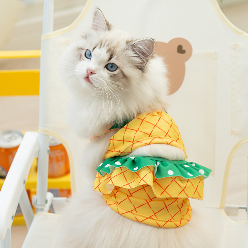 Pineapple kitty swimsuit summer cat beach wear