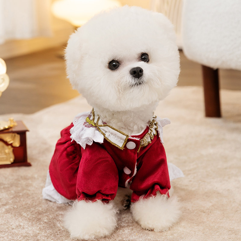 Pet Winter Lace Trimmed Dress