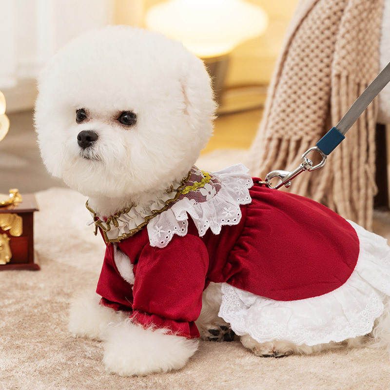 Pet Winter Lace Trimmed Dress