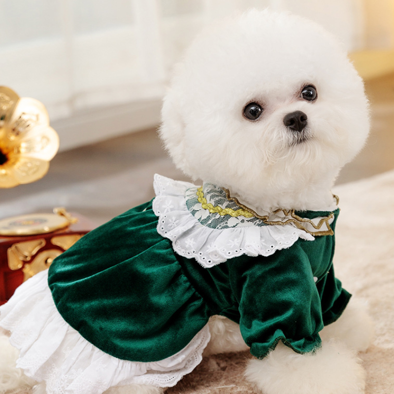Pet Winter Lace Trimmed Dress