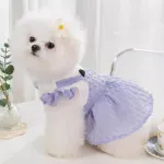 Cat Checkered Dress 3D Cat Face Sheer Mesh Skirt