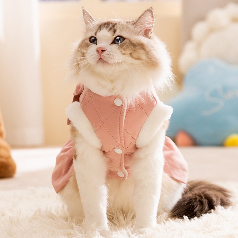 Winter Pet Cute Thickened Cotton Dress