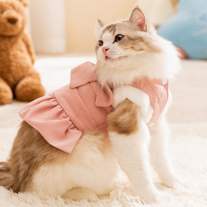 Winter Pet Cute Thickened Cotton Dress