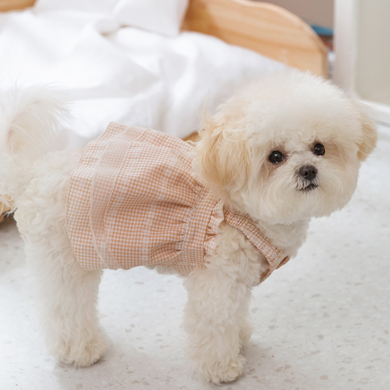 Summer Pet Daisy Checkered Suspender Dress