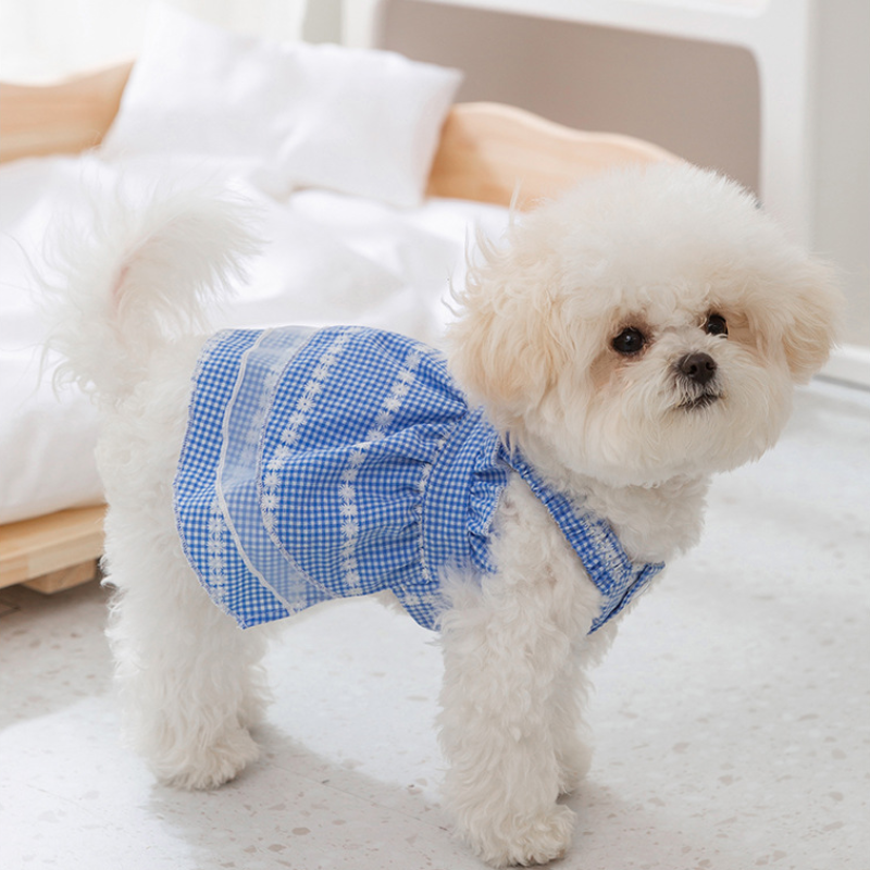 Summer Pet Daisy Checkered Suspender Dress