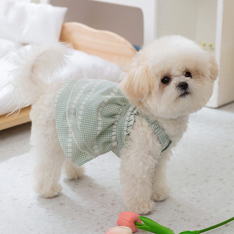 Summer Pet Daisy Checkered Suspender Dress